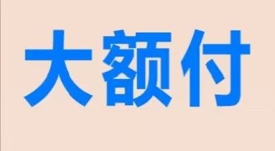 大额付